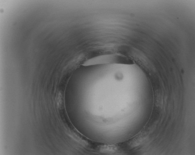 X0000062890077200601171524