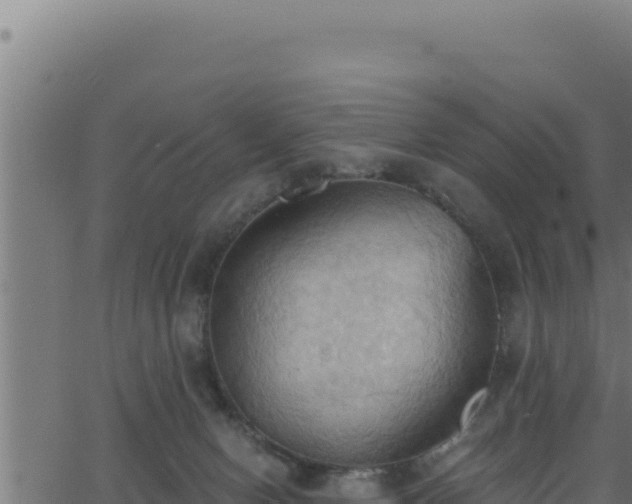 X0000062890078200601171524