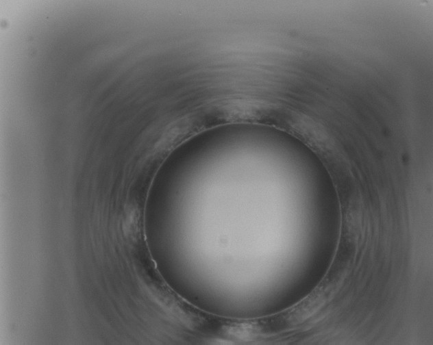 X0000062890079200601171524