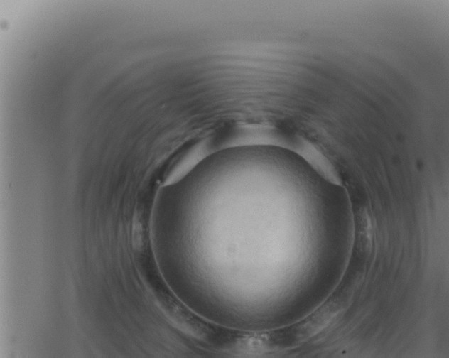 X0000062890080200601171524