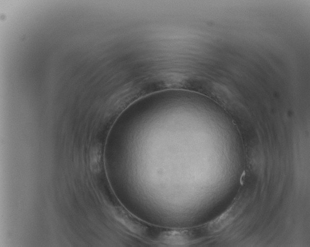 X0000062890082200601171524