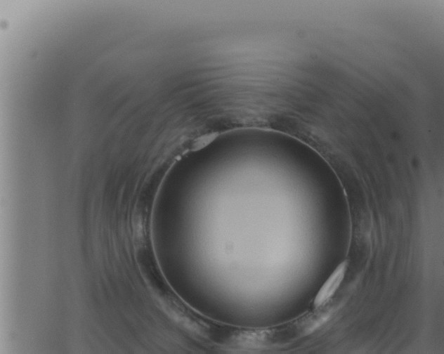 X0000062890084200601171524