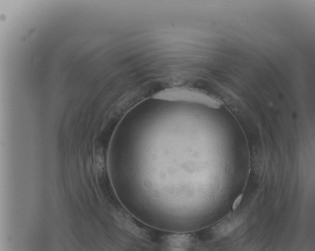 X0000062890085200601171524