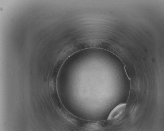 X0000062890086200601171524