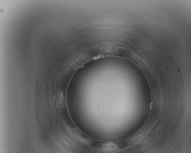 X0000062890087200601171524