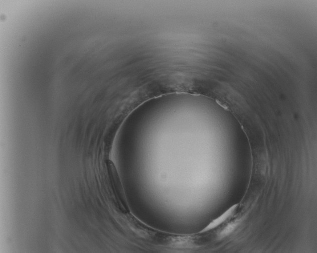 X0000062890088200601171524