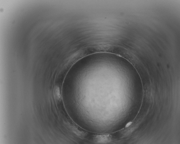 X0000062890089200601171524