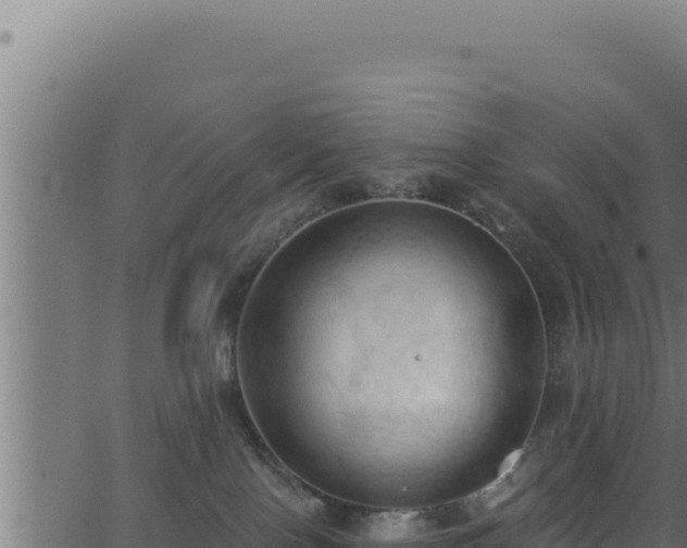 X0000062890090200601171524