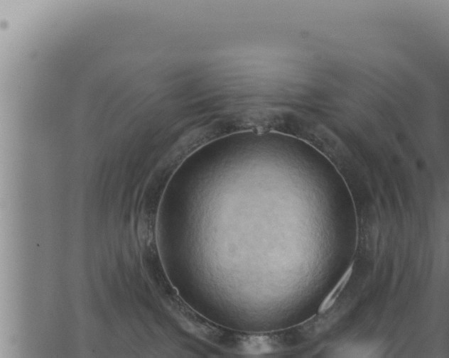 X0000062890091200601171525