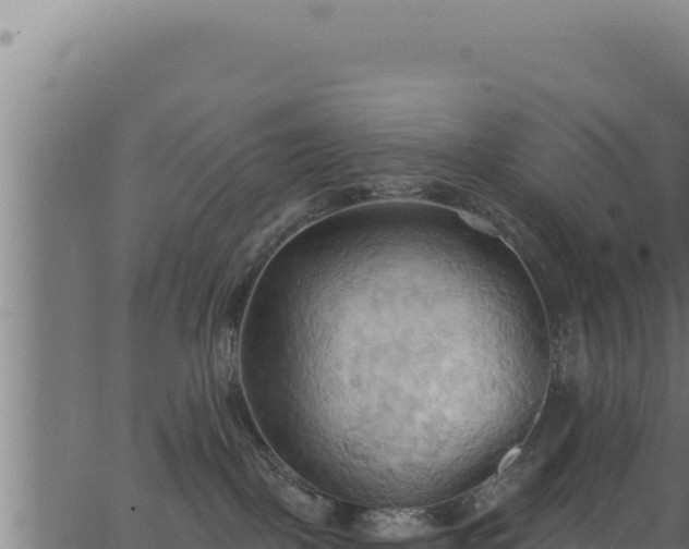 X0000062890093200601171525