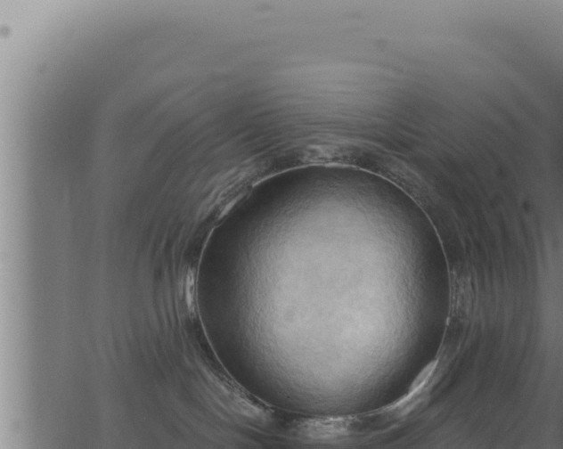 X0000062890094200601171525