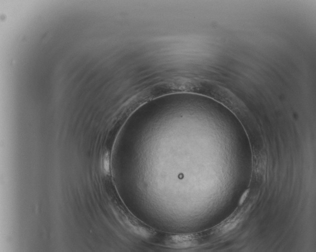 X0000062890095200601171525