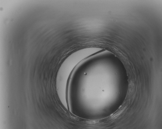 X0000062890096200601171525