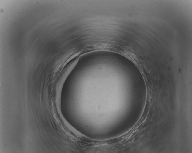 X0000062890097200601171524