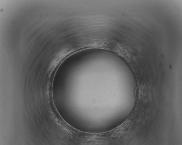 X0000062890098200601171524