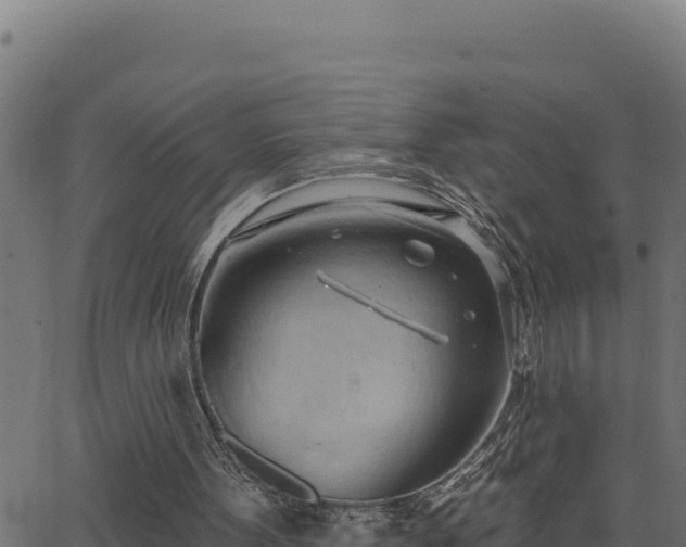 X0000062890099200601171524