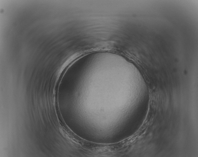 X0000062890100200601171524