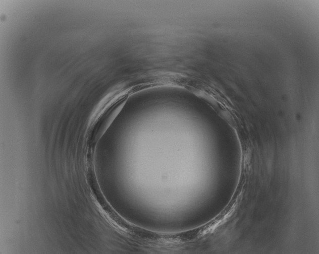 X0000062890101200601171524