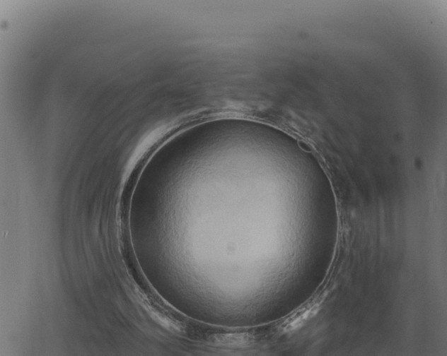 X0000062890102200601171524