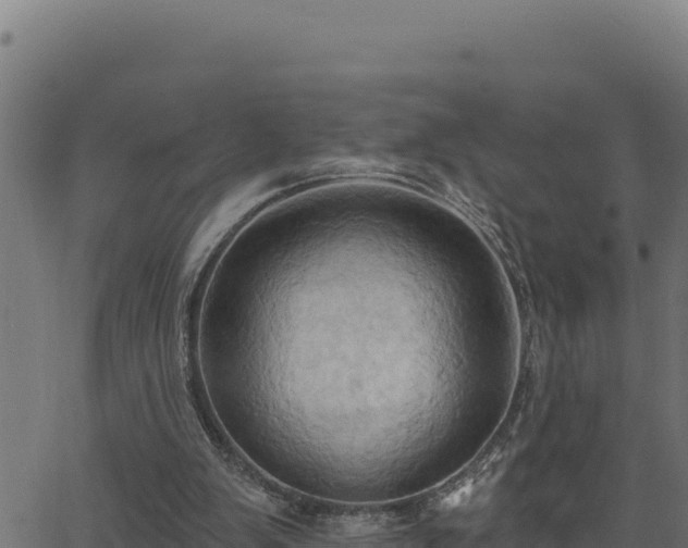 X0000062890103200601171524