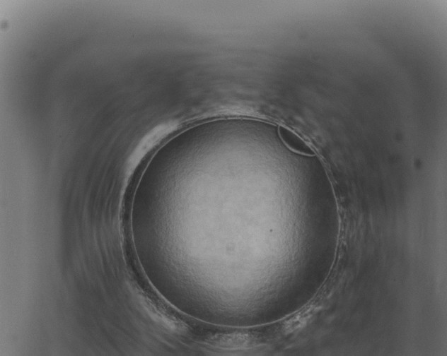 X0000062890104200601171524