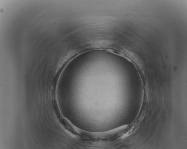 X0000062890105200601171524