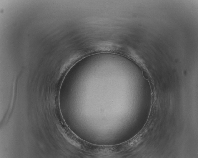 X0000062890106200601171524