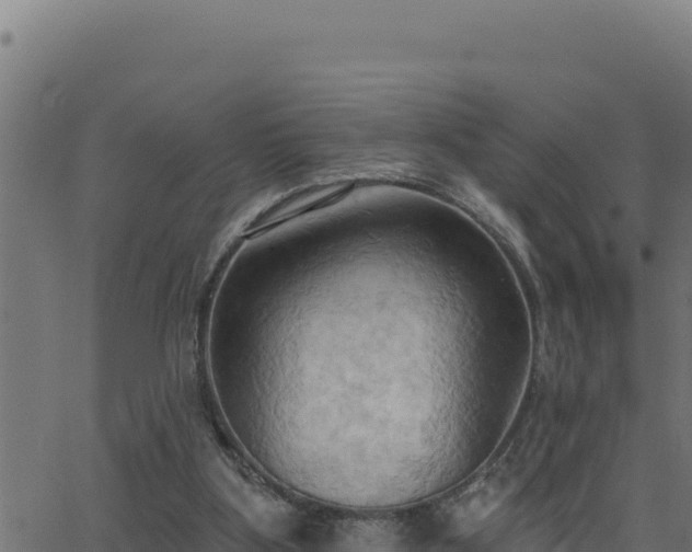 X0000062890107200601171524