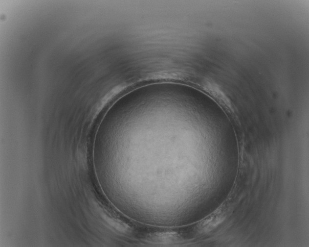 X0000062890108200601171524