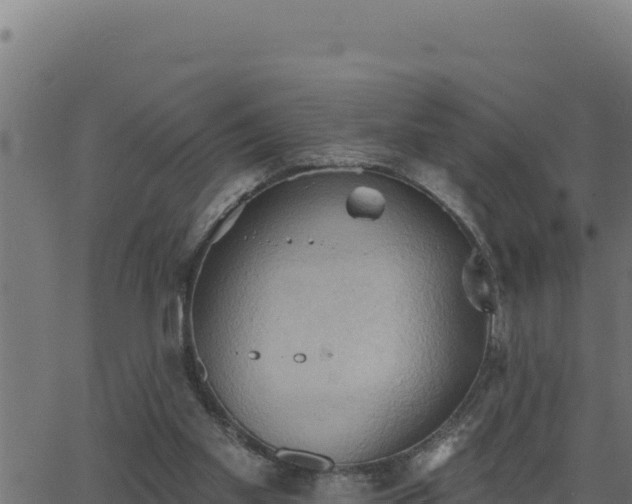 X0000062890109200601171524