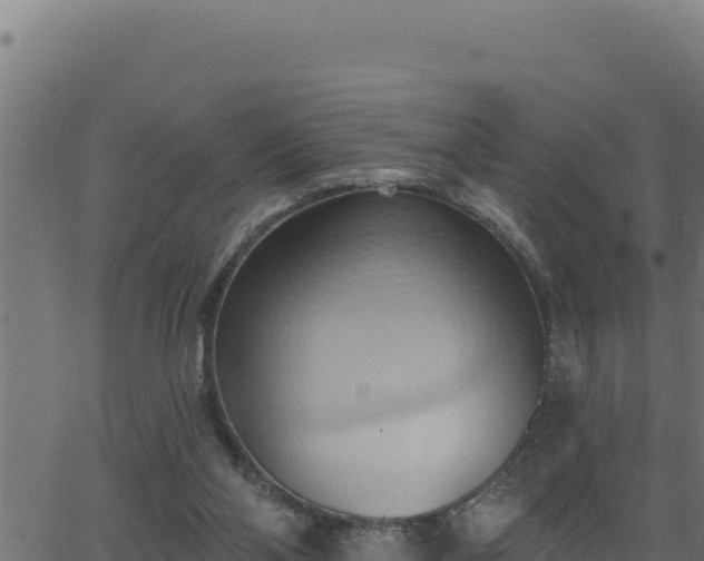 X0000062890110200601171524