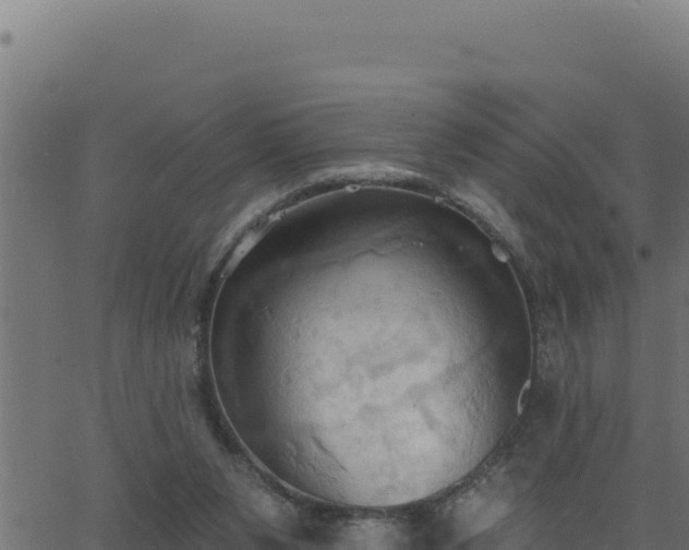 X0000062890111200601171524