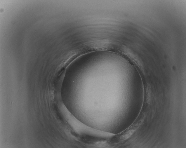 X0000062890113200601171524