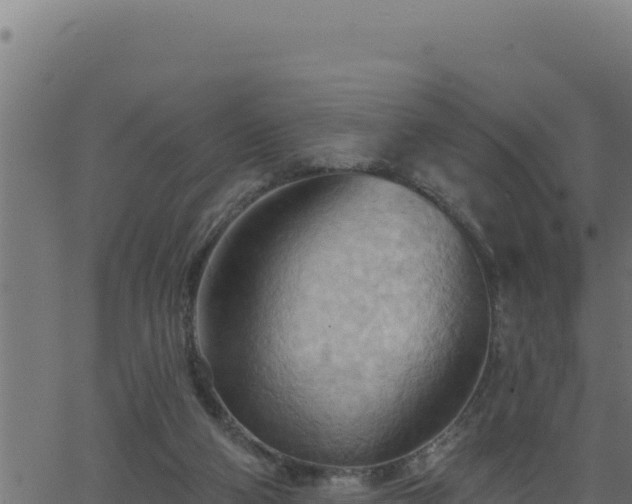 X0000062890114200601171524