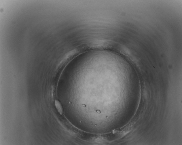 X0000062890115200601171523