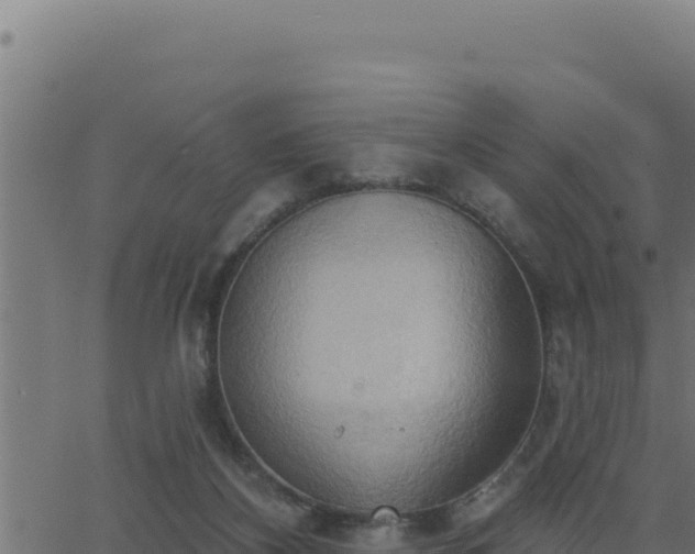 X0000062890116200601171523