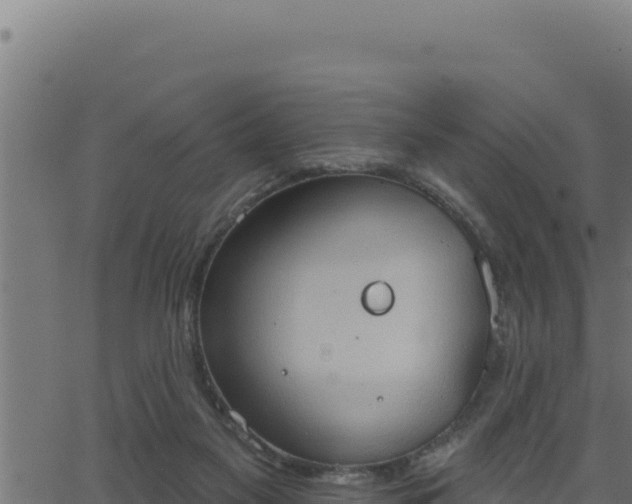 X0000062890117200601171523