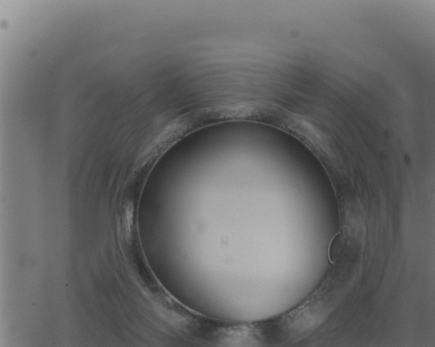 X0000062890118200601171523