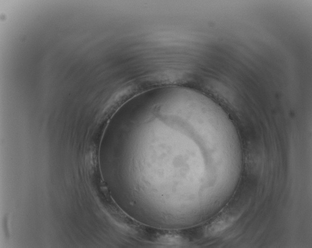 X0000062890119200601171523