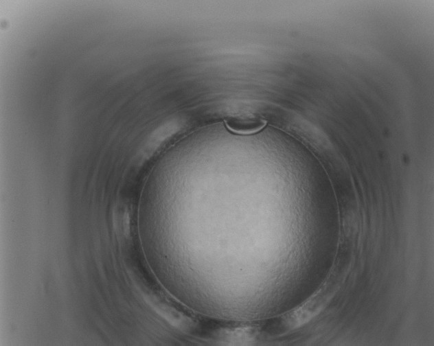 X0000062890120200601171523