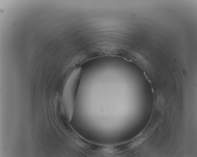 X0000062890121200601171523