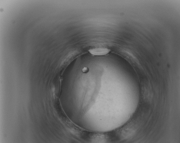 X0000062890123200601171523