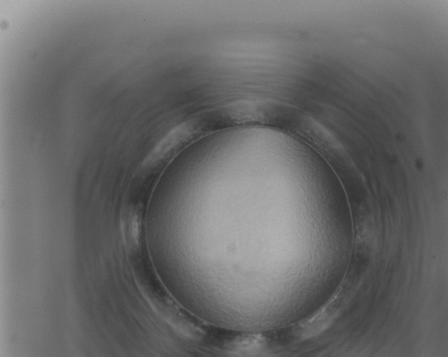 X0000062890124200601171523