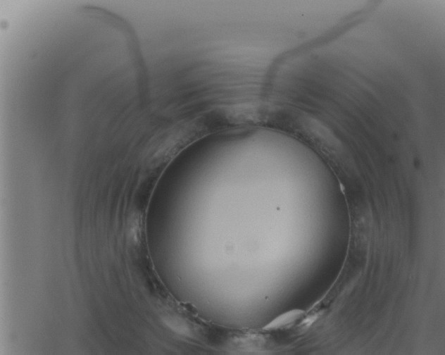 X0000062890125200601171523