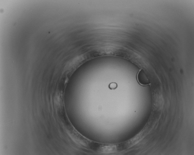 X0000062890126200601171523