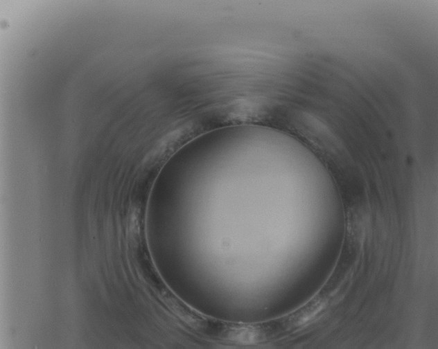 X0000062890127200601171523