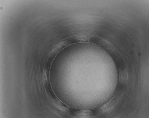 X0000062890128200601171523