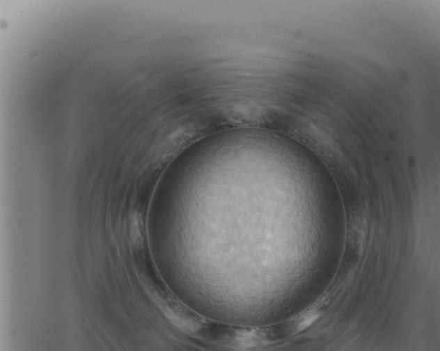 X0000062890130200601171523