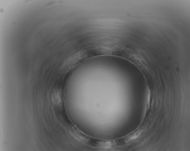 X0000062890131200601171523