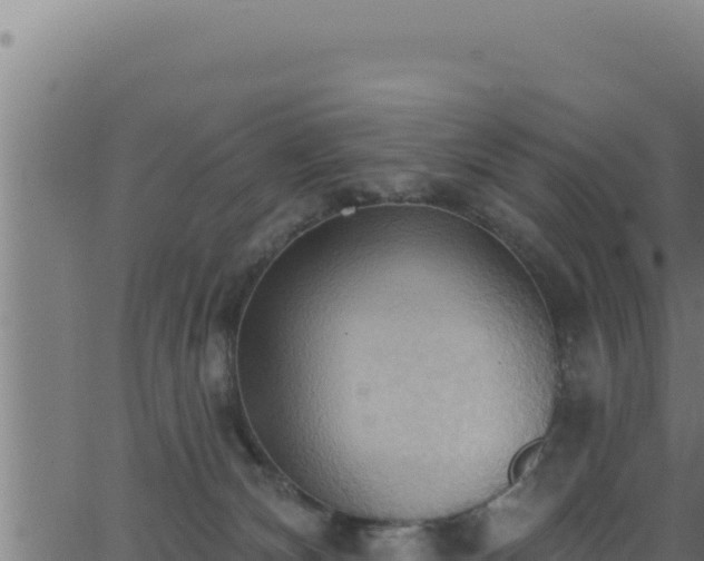 X0000062890132200601171523